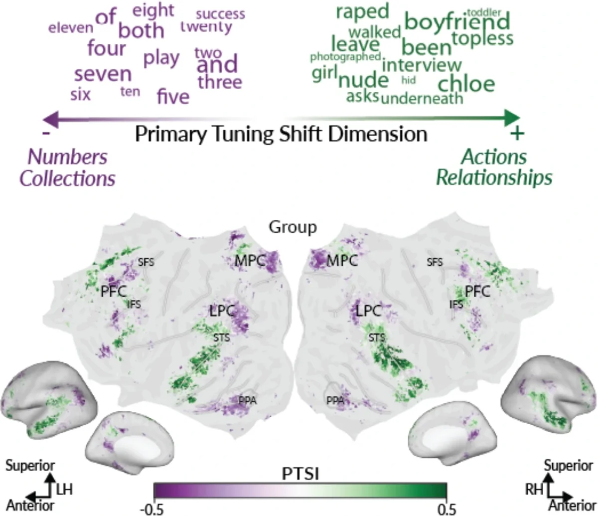 Chen et al. 2026 bilingual PNAS