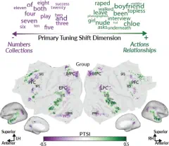 Dr. Catherine Chen has a new paper accepted at PNAS