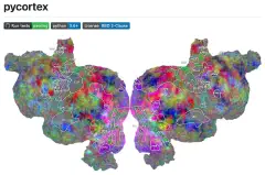 Pycortex, our awesome brain viewer software, has a major new feature